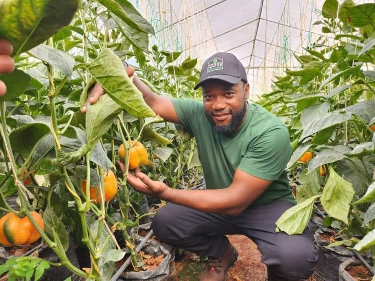 Roland Fomundam, the founder of GreenHouse Ventures in his green house
