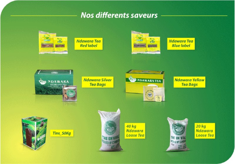 Les différentes saveurs de thé et leur emballage