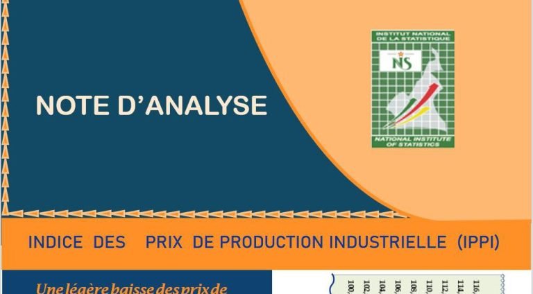 Institut national des statistiques INS