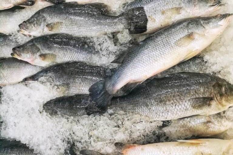 Frischer-Fisch-gekuehlt