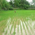 WhatsApp Image 2025-12-17 at 17.09.08