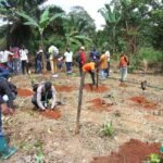 Francophonie_Entrepreneuriat-jeune